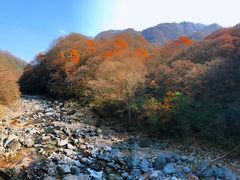 -光雾山旅游景区