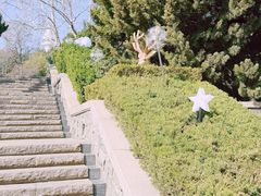 -烟台山景区