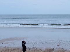 -日照灯塔风景区