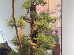 -顺峰(农展馆店)