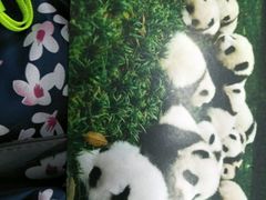-熊猫邮局(少城店)