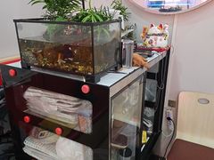 -鹍记特色牛杂面