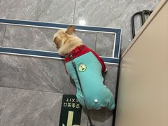 -美联众合爱康动物医院•复杂内科•肿瘤科•牙科•腔镜诊疗中心