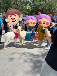 -沈阳市儿童医院