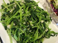 -金蝉食府(维吉奥广场店)