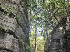 -梭布垭石林景区