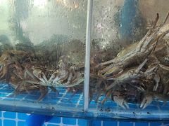 -蓝珊甄选海鲜自助·火锅大排档(近阿那亚店)