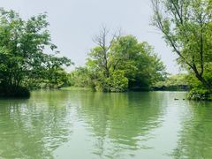 -西溪国家湿地公园