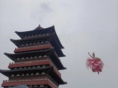 -祥源·阜阳生态乐园