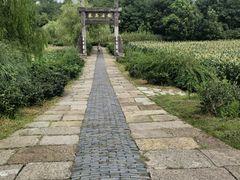 -杏花村文化旅游区