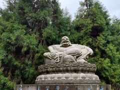 -武陵山森林公园