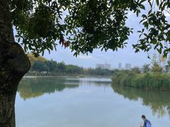 -升仙湖公园