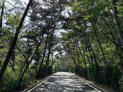 -棒棰岛宾馆景区