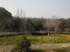 -太湖饭店玉兰厅(自助餐厅)