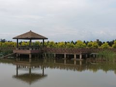 -漩门湾国家湿地公园