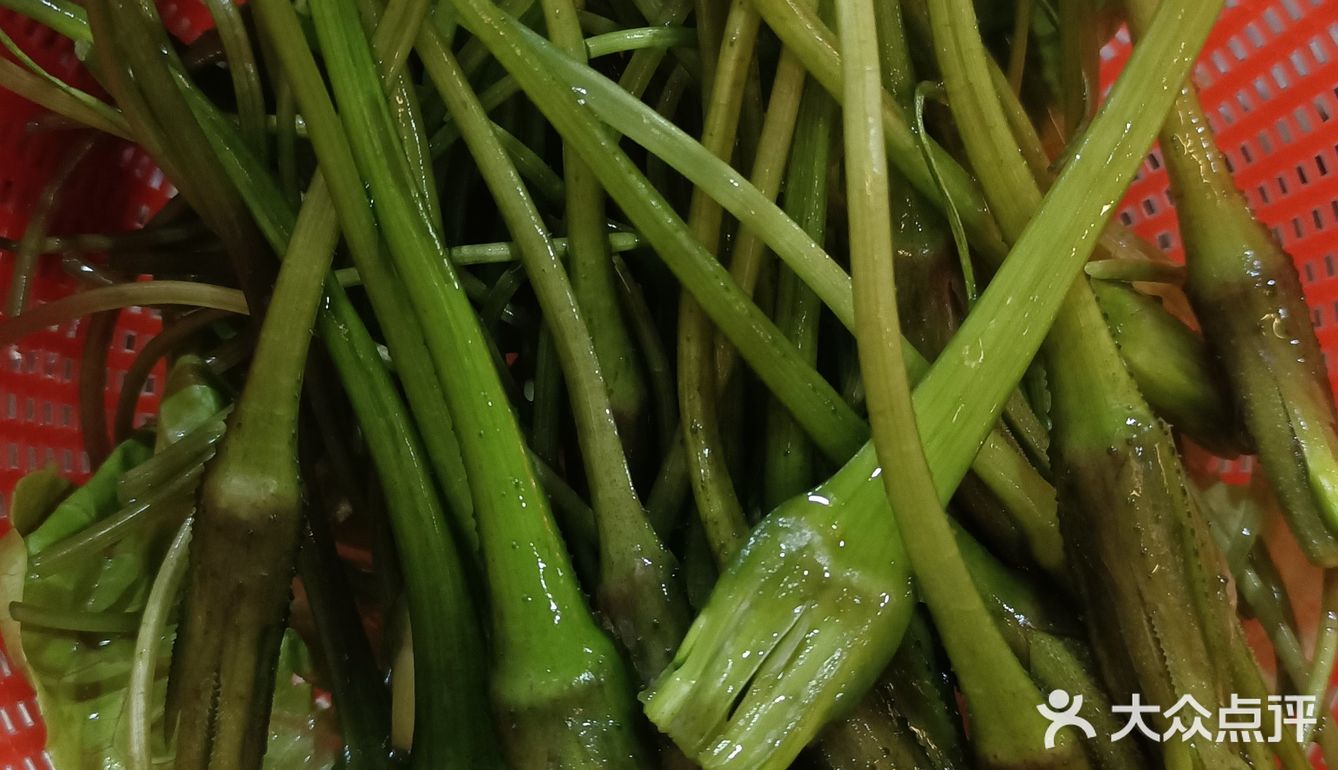 每次来时都人山人海的港式火锅