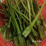 每次来时都人山人海的港式火锅