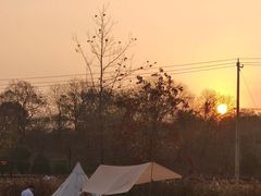 -佛手湖郊野公园