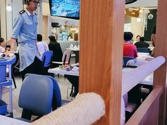 -半岛听涛蒸汽海鲜自助(K11店)