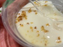 桂花豆花-欧记大排档·景德菜(上海首店)