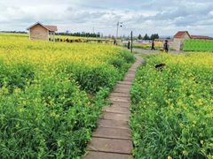 -扁都口生态休闲旅游区