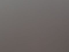 -沈坚强游泳俱乐部(武宁南路店)