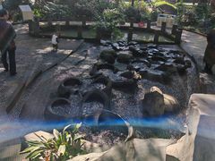 -成都市活水公园