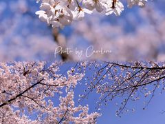 -龙美术馆(西岸馆)