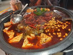 -探鱼·鲜青椒爽麻烤鱼(苏宁广场店)