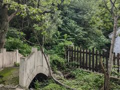 -阳台山自然风景区