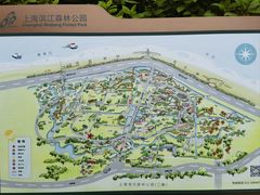 -上海滨江森林公园