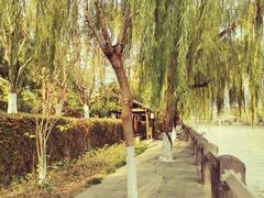 -运河游船(武林门码头)