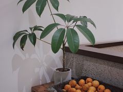 -肥朵食堂(带梦胡同店)