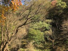 -少华山国家森林公园