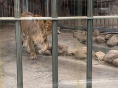 -青岛动物园