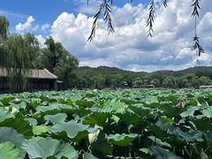 -承德避暑山庄景区