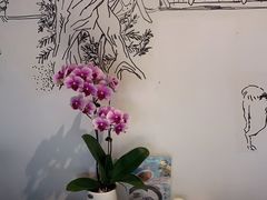 -紫腾大院·南京菜(江宁店)
