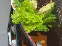 -草原塞蛮羊火锅城(港湾店)