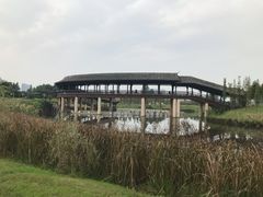 景点-眉山湿地公园(东坡区)
