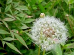 android_upload_pic-贵阳市花溪国家城市湿地公园