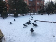 -北海道厅旧本厅舍(旧本庁舎)