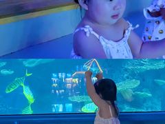 -泉城欧乐堡海洋极地世界
