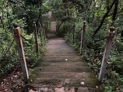 -陕西省红河谷森林公园