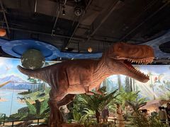 -陕西自然博物馆