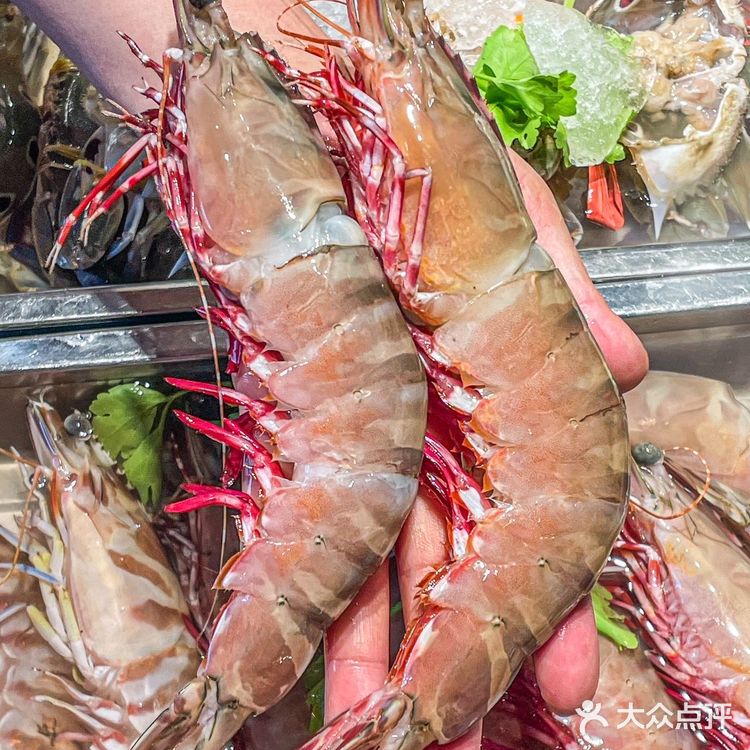 广州天河！为这口潮汕菜我真的会反复来