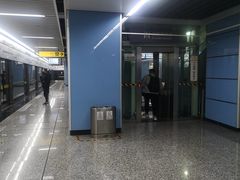 -大龙山(地铁站)