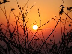 -江西阳明山国家森林公园