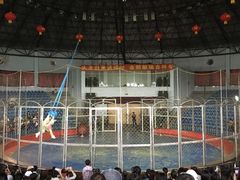 -西安秦岭野生动物园