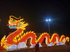 -武汉园博园(武汉自然博物馆)