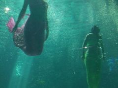 -福州罗源湾海洋世界旅游区